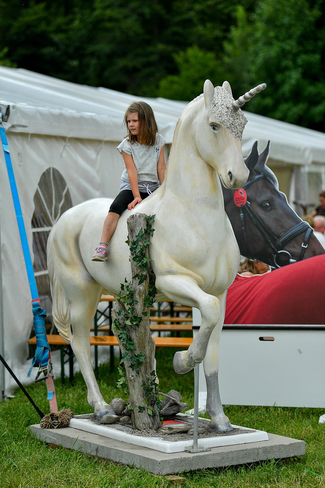 Pferdesporttage 2019