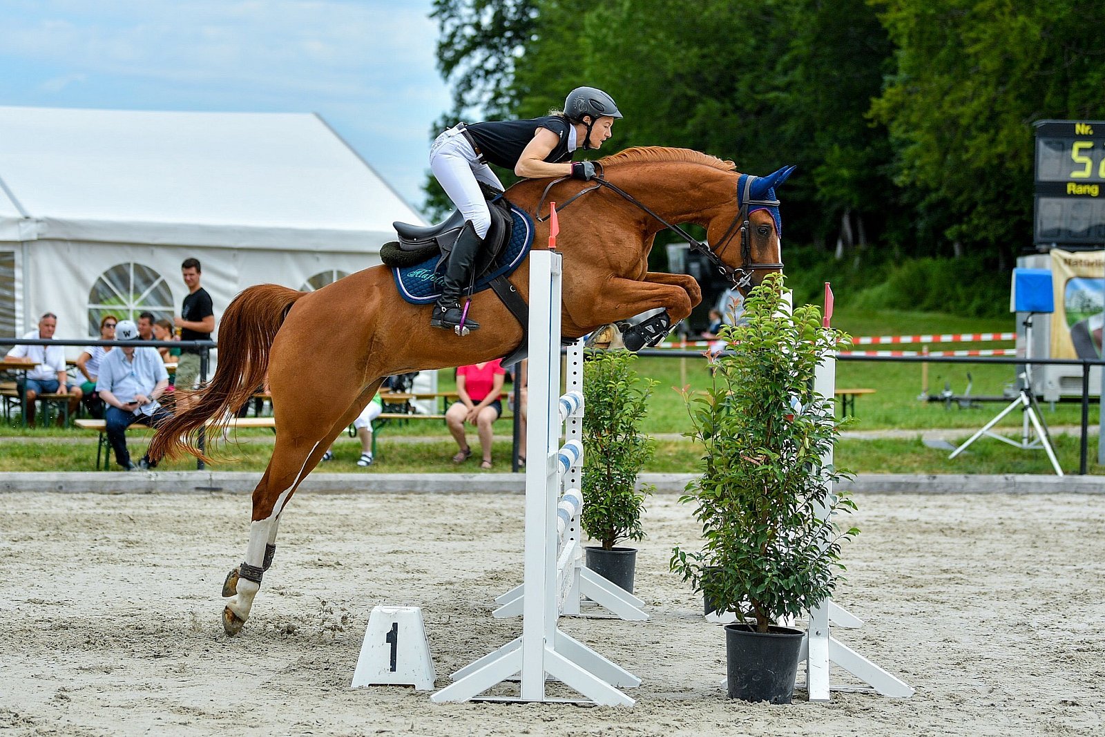 Pferdesporttage 2019