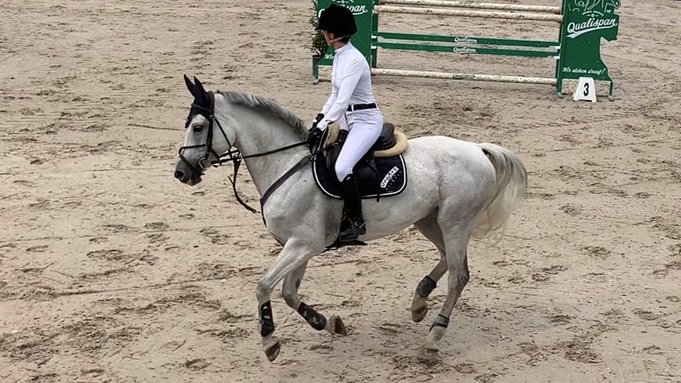 Pferdesporttage 2019