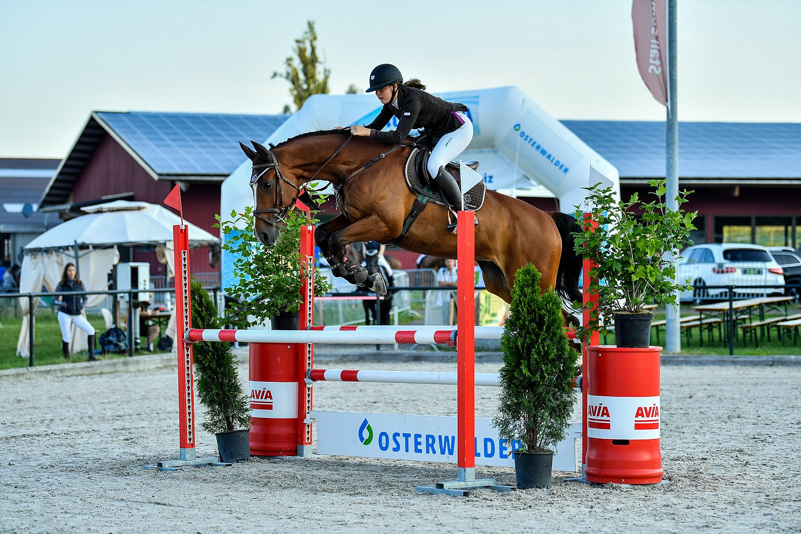 Pferdesporttage 2019