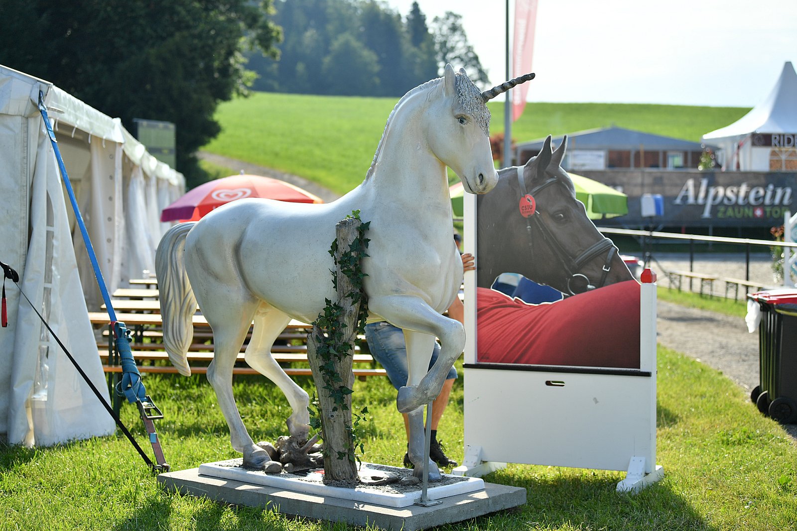 Pferdesporttage 2019