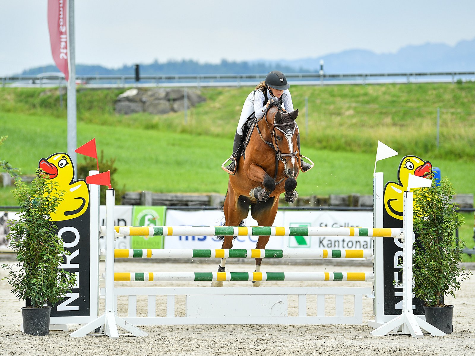 Pferdesporttage 2019