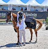 Pferdesporttage 2025