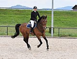 Plauschsspringen/-Dressur 2019
